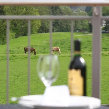 Lägenhetshotell Haus Berghoff