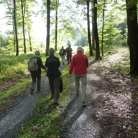 Appart hôtel Haus Berghoff Sundern