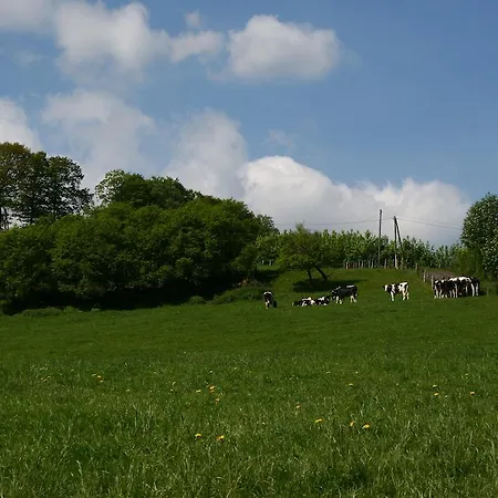 Haus Berghoff Sundern