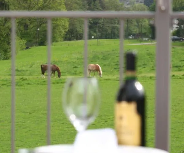 Lägenhetshotell Haus Berghoff