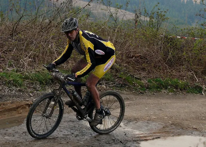 Aparthotel Haus Berghoff Sundern