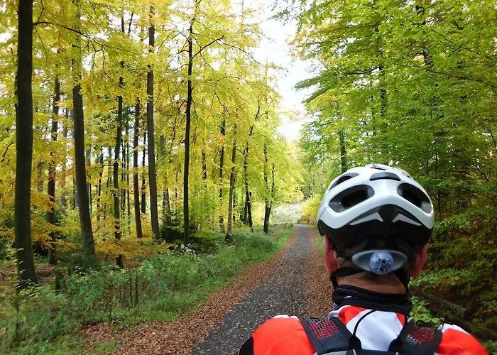 Lägenhetshotell Haus Berghoff 4*