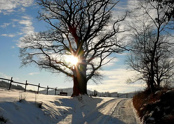 Lägenhetshotell Haus Berghoff Sundern