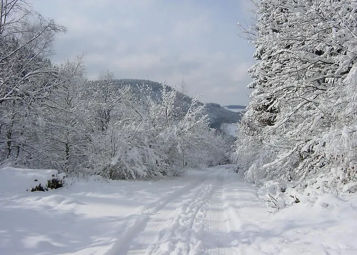 Aparthotel Haus Berghoff Sundern