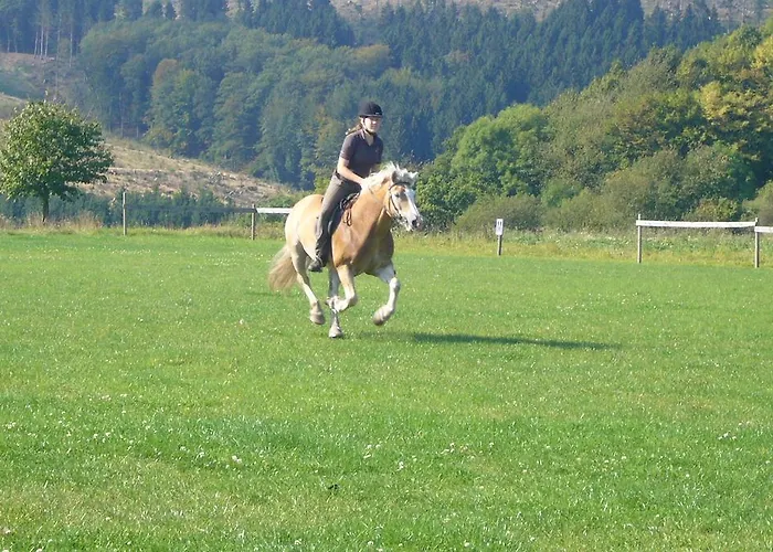 Aparthotel Haus Berghoff