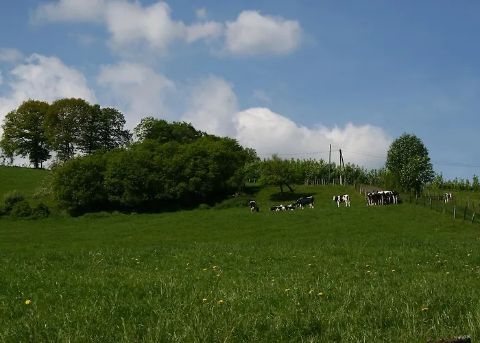 Haus Berghoff Sundern